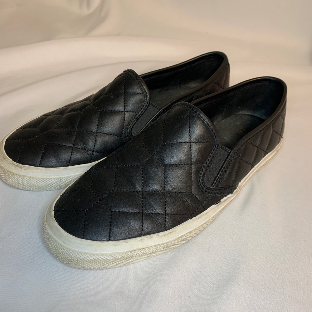 👟Coach Shoes👟
